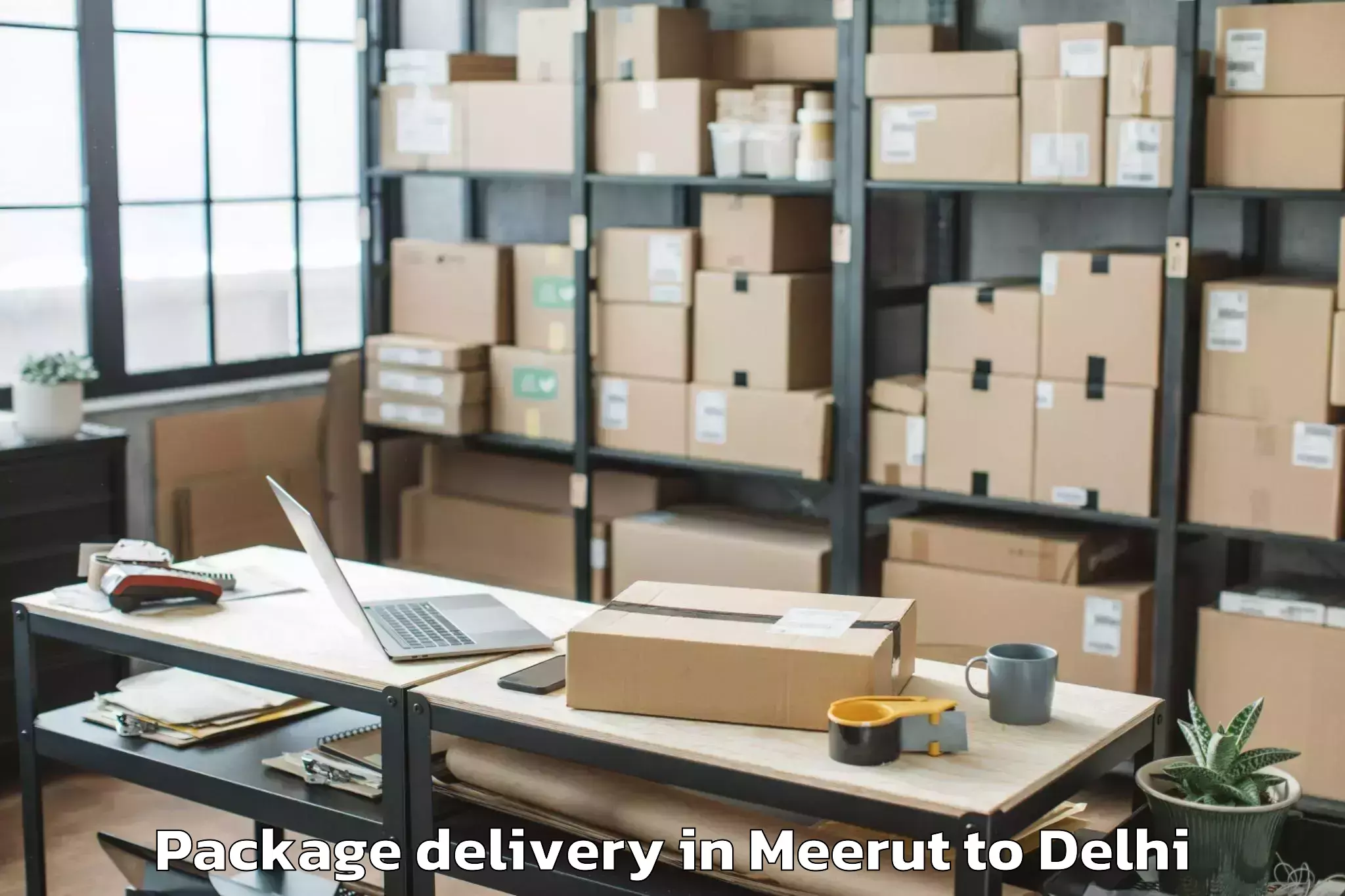 Top Meerut to D Mall Rohini Package Delivery Available